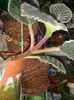20160419_120032