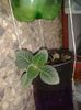 20160419_120037