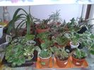 20160419_120100