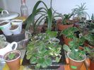 20160419_120106