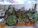 20160419_120113