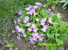 SAM_0592