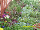 SAM_0632