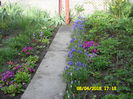 SAM_0634