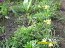 SAM_0635