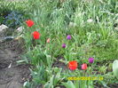 SAM_0636