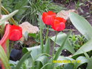 SAM_0638