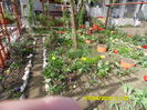 SAM_0648