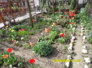 SAM_0649