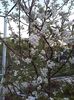 20160416_200035[1]