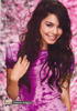 o_220_Vanessa_Hudgens_RARE_TIGER_BEAT_PROMO_Signed_8x10___