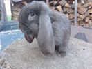 IMG_20160420_194231