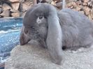 IMG_20160420_194359