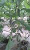20160419_180631