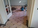 WP_003781