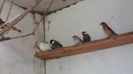 20160421_102218