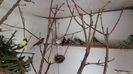 20160421_102240