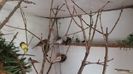 20160421_102243