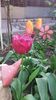 20160417_183614