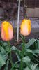 20160417_183627
