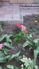 20160417_183818