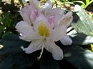 IMG_20160421_141536