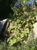 20160421_164116