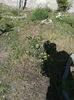 20160421_163826