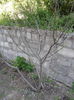20160421_163541