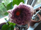 P1250882