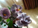 P1250901