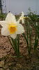 IMG_20160421_143518