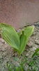 IMG_20160421_143730