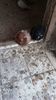 IMG-20160422-WA0001