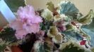 WP_20160422_16_05_21_Pro