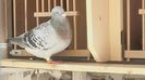 20160422_153740
