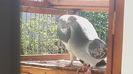 20160422_152207