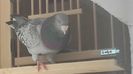 20160422_150429