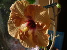 P1250928