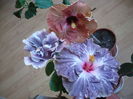 P1250921