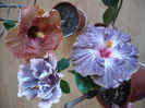 P1250923