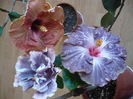 P1250924