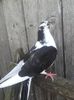 20160422_191459