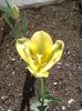 IMG_20160422_155725