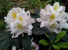 IMG_20160423_071129