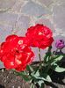 IMG_20160423_114113