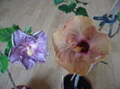 P1250943
