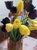20160423_173839