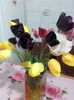20160423_173816