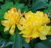 IMG_20160423_221052